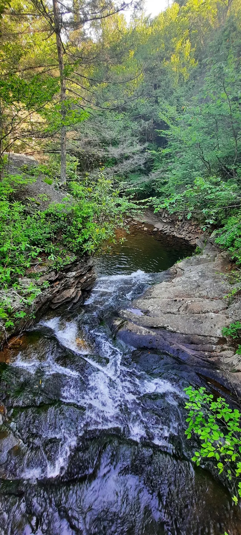 Cascading creek channel between rocky wooded banks in the Little Stony Falls collection; historical scenery, not a verified swimming entry