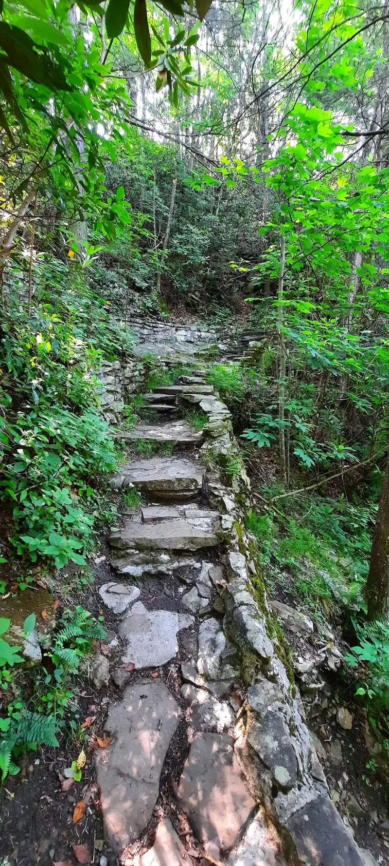 Uneven stone steps on the wooded Little Stony trail; photograph does not establish current open access