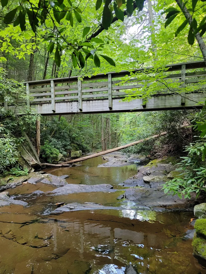 Wooden footbridge above a rocky creek channel in the Little Stony Falls collection; photograph does not establish present bridge condition or open access