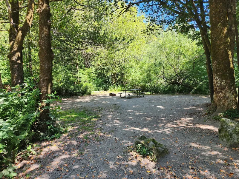 Empty tree-shaded campsite with a picnic table and fire ring in the Loeb State Park collection