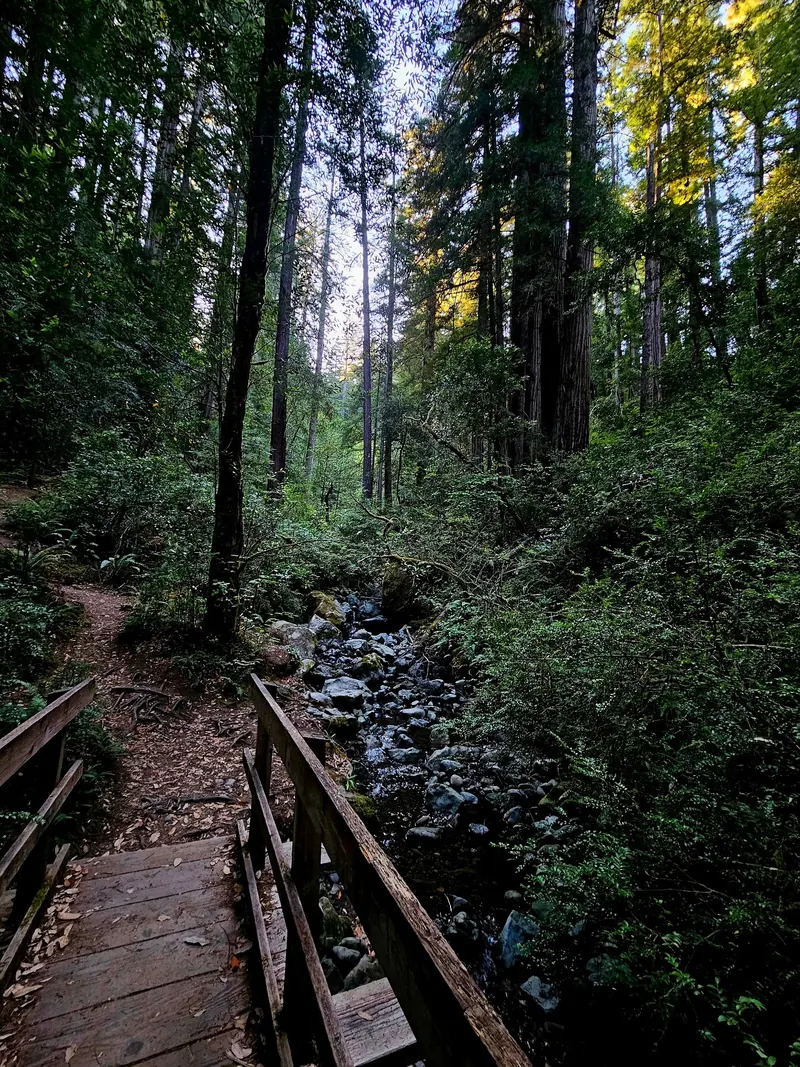 Wooden footbridge over a rocky woodland stream in the Loeb area photo collection