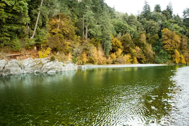 Chetco River water beside a gravel bank and autumn woodland in the Loeb State Park collection