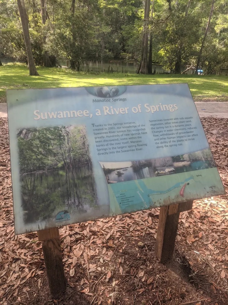 Manatee Springs interpretive sign about the Suwannee River beside cypress trees and water