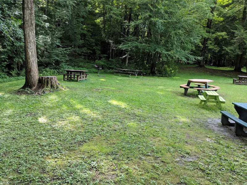 Picnic tables and grill on a shaded lawn at Margaret Lindley Park
