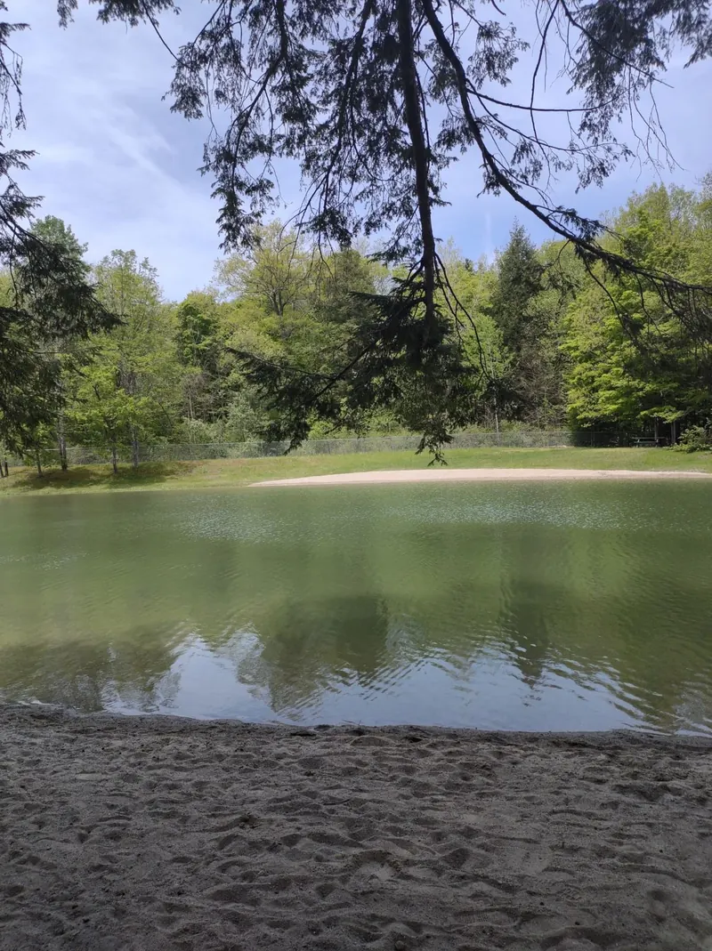 Margaret Lindley Park pond and sandy shore surrounded by woodland