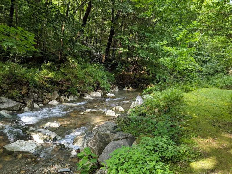 Historical rocky brook beside a narrow woodland path in the Margaret Lindley Park collection; hiking context, not a designated swimming entrance or verified accessible route