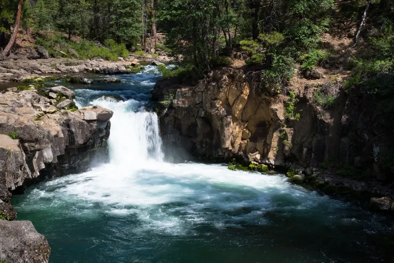 McCloud River waterfall pouring between rocky walls into a churning pool
