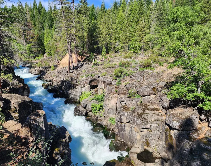 Fast-moving McCloud River water cutting through a rocky forested gorge