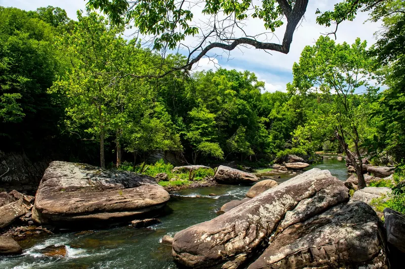 Meadow River scenery with large boulders and flowing water; exact swimming entry not independently identified