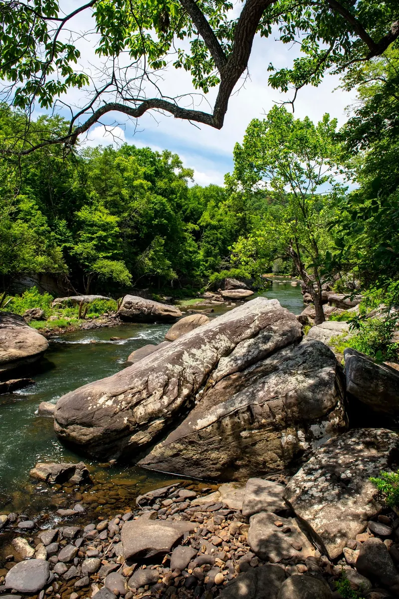 Leafy branches above a boulder-lined river channel in the Meadow River collection; regional scenery, not an independently located swimming entry