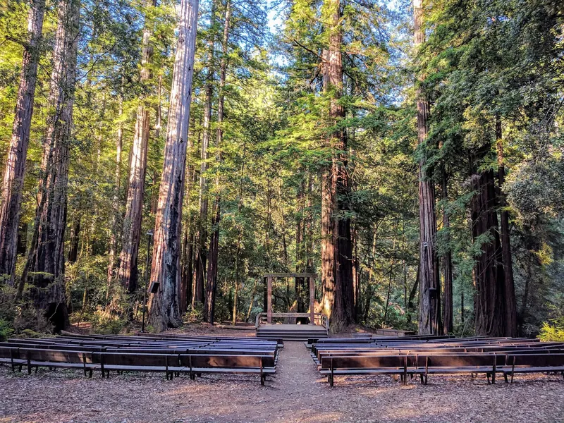 Empty outdoor amphitheater benches and stage among Memorial Park redwoods