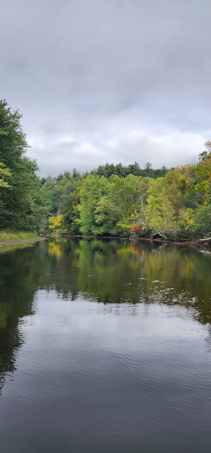 Early autumn trees reflected in a quiet-looking Merrimack River bend beneath gray skies
