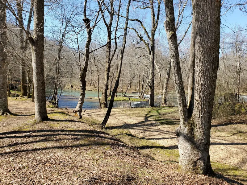 Leaf-covered riverbank and bare trees facing flowing water in the Metal Ford collection