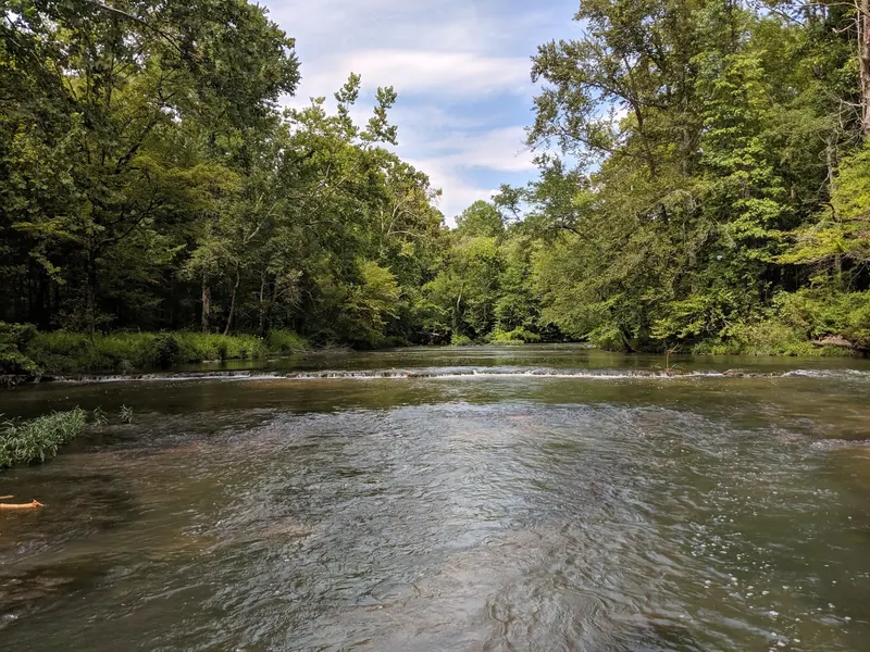 Low riffles crossing the Buffalo River below wooded banks in the Metal Ford collection