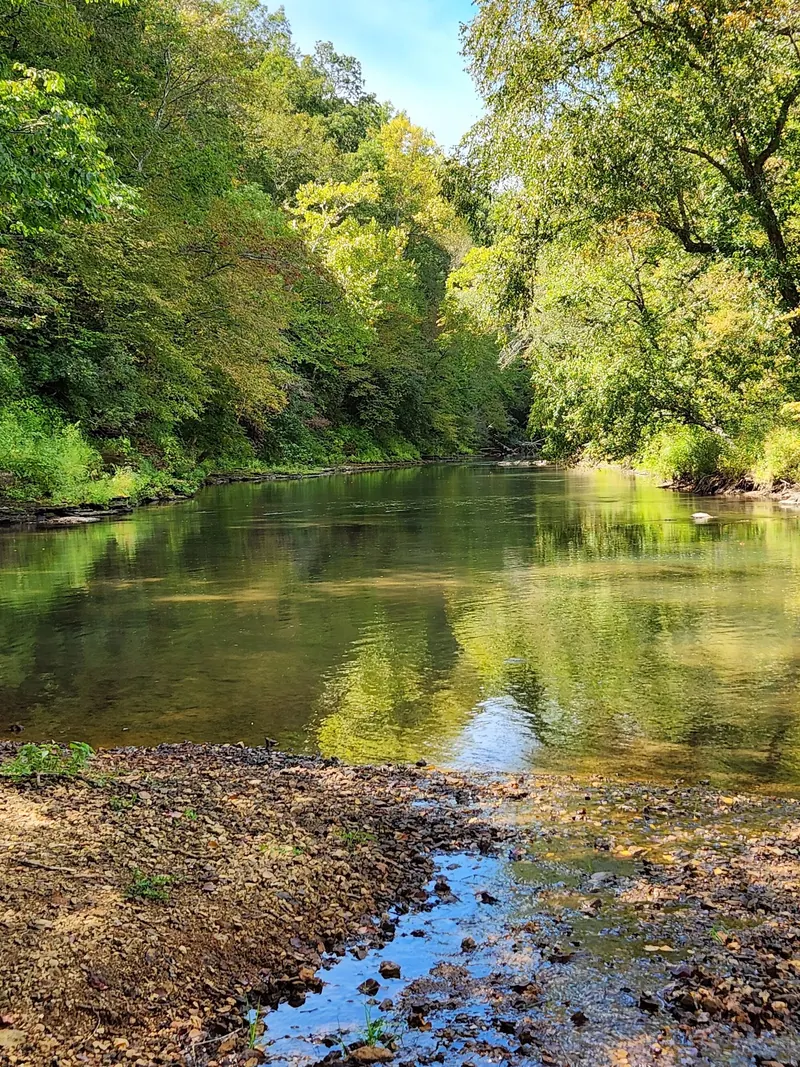 Buffalo River bend with a gravel foreground and wooded banks in the Metal Ford collection