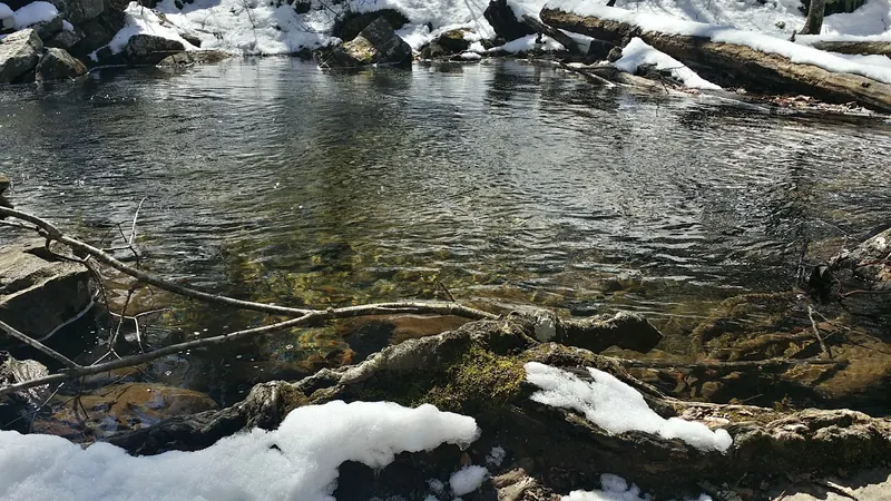 Creek pool bordered by snow-covered rocks and fallen branches in the Mountain Run area