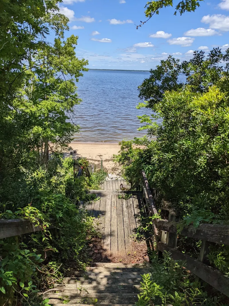 Damaged overgrown wooden stairway above the Neuse River shoreline in a historical photo, not a verified entry route