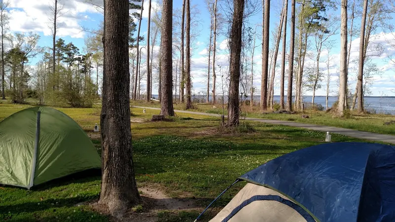 Two tents among tall trees near a paved path with the Neuse River beyond