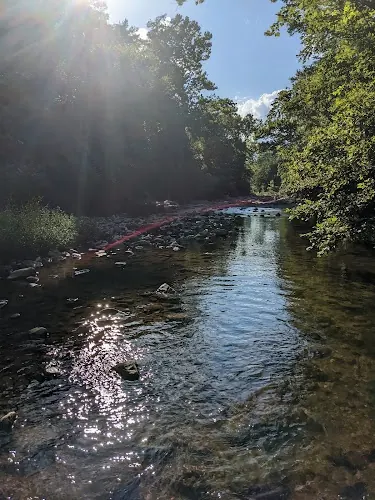 Sunlight on Jennings Creek beside a rocky bank and trees at the location listed as Jennings Creek 1