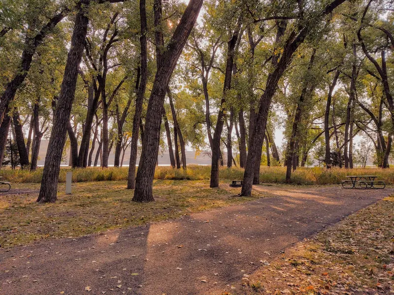 Empty autumn campground beneath tall trees with picnic tables and a fire ring in the Oahe Downstream photo collection