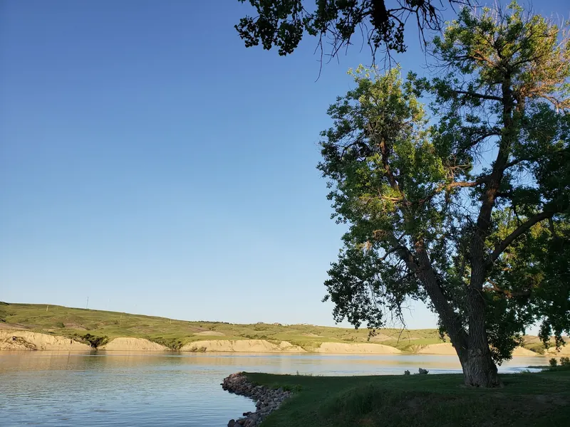 Large tree beside a grassy river bank facing pale bluffs in the Oahe Downstream Recreation Area photo collection