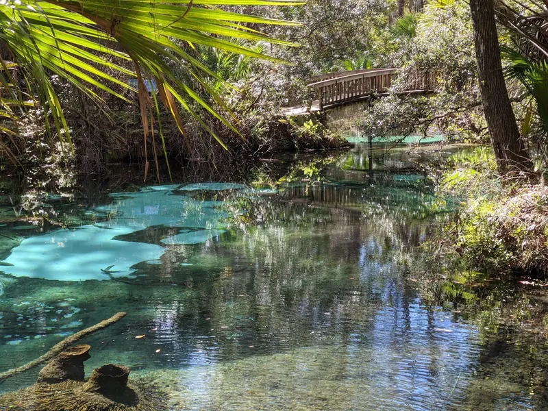 Wooden footbridge above blue-green water beneath palms in the Ocala National Forest photo collection
