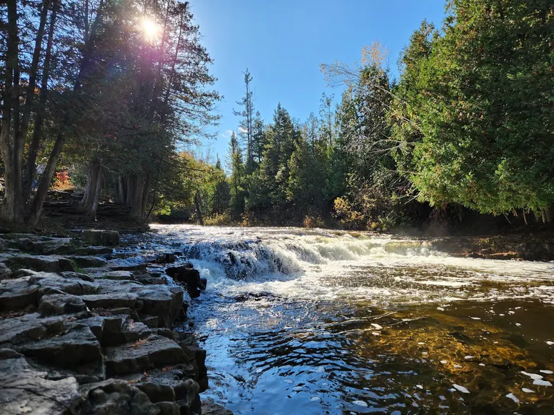 Wide view of Ocqueoc Falls spilling over low rock ledges beneath woodland