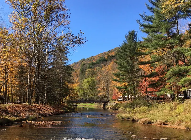 Autumn trees and a footbridge above Kettle Creek in the Ole Bull State Park collection