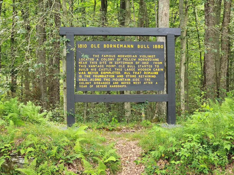 Woodland interpretive board about Ole Bornemann Bull in the park collection