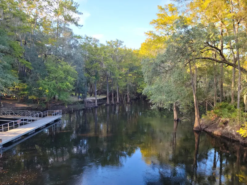 Historical wooded Santa Fe River bank and railed platform at O'Leno State Park; not current water conditions