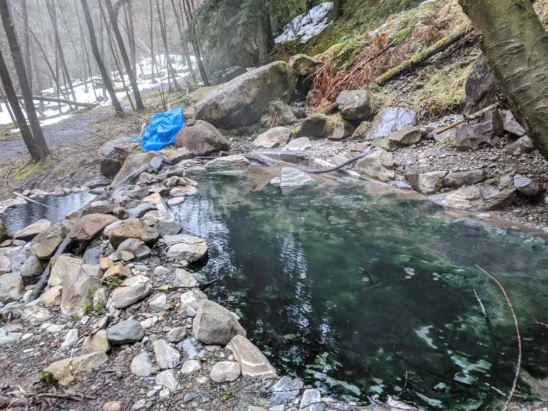 Rock-edged pools with patches of snow in the surrounding forest at Olympic Hot Springs