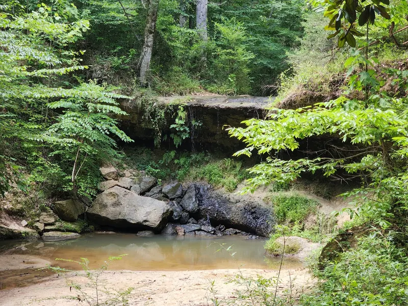 Light flow over a wooded Owens Creek rock ledge above a small historical pool