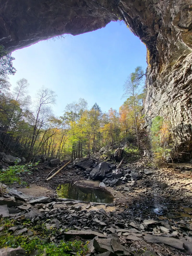 Rocky amphitheater, small pool and autumn-colored forest in the Ozone Falls collection