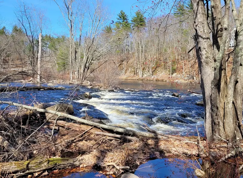 Wooded bank and whitewater across the rocky Lamprey River at Packers Falls