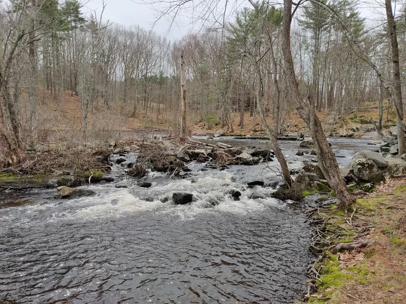Leafless wooded riverbank and rocky Lamprey River channel in the Packers Falls collection; historical scenery, not a verified water-entry route