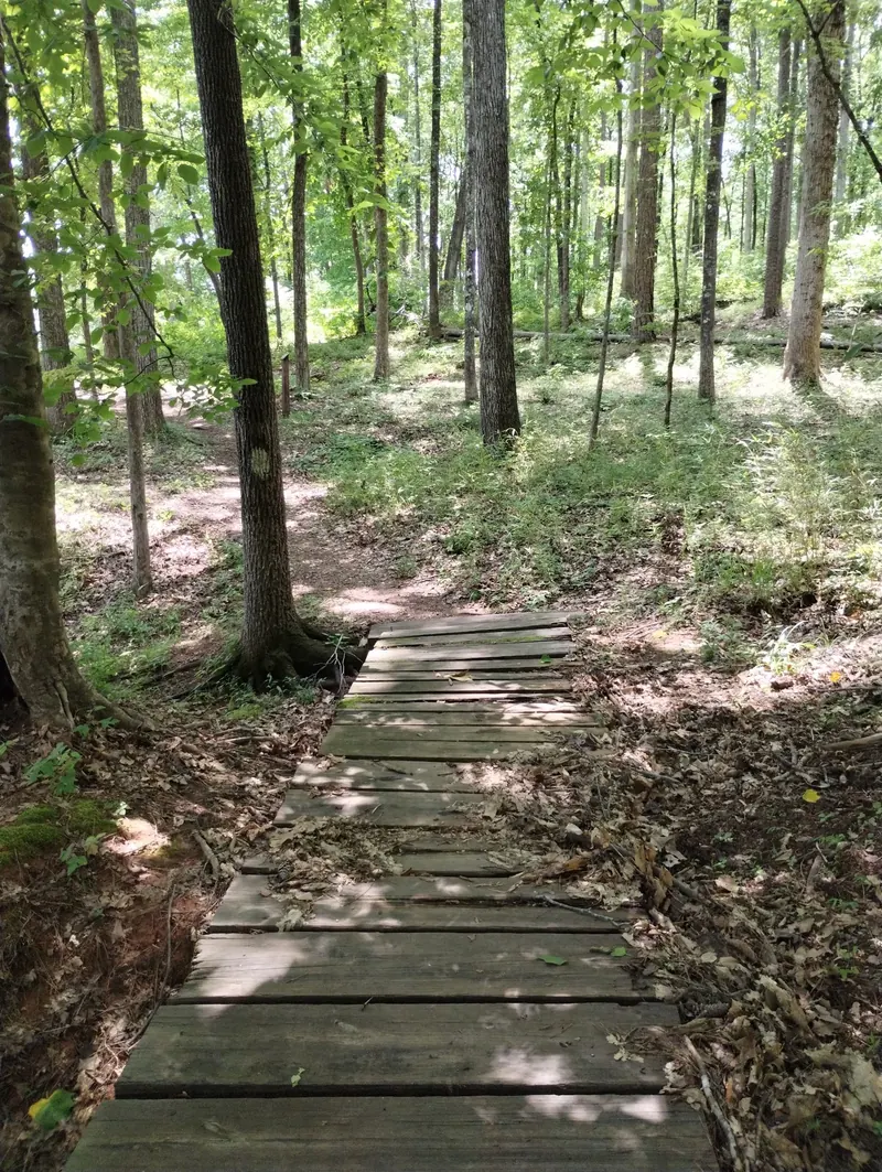 Small wooden footbridge on an empty forest path in the Parsons Mountain Lake Campground photo collection