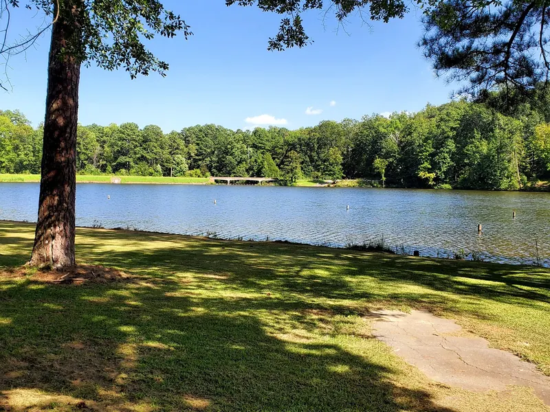 Lake and wooded opposite shore viewed from a shaded grassy bank in the Parsons Mountain Lake Campground collection