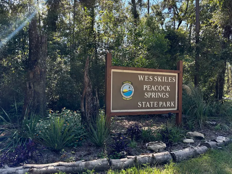 Wes Skiles Peacock Springs State Park entrance sign among trees and flowering plants; historical arrival context