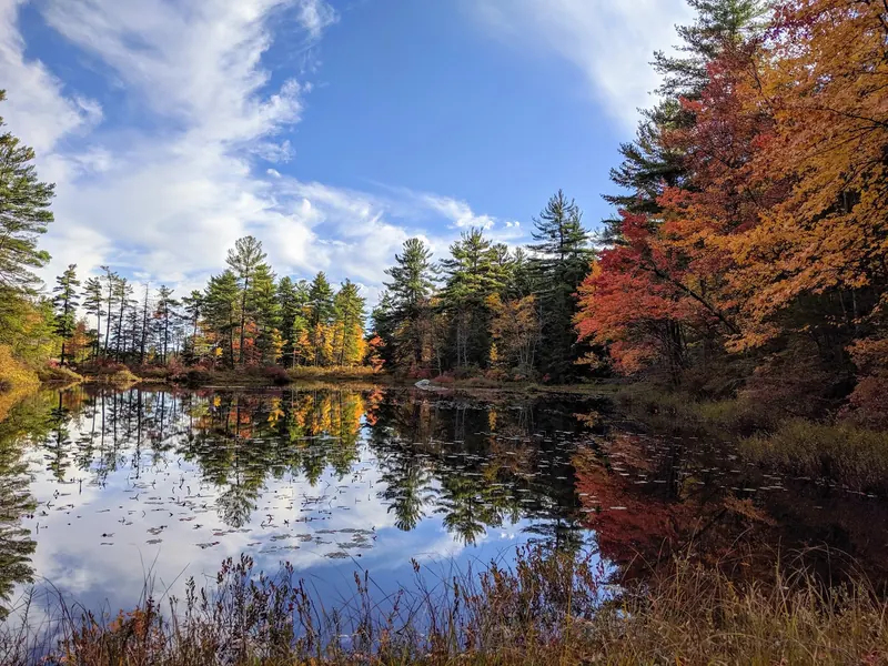 Autumn woodland reflecting in a pond in the Pisgah State Park photo collection