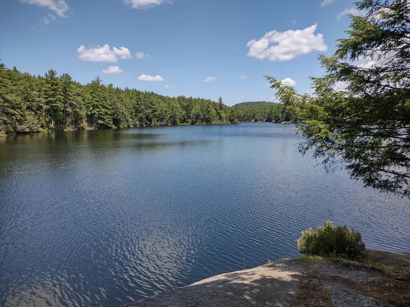 Forested pond and rocky foreground in the Pisgah State Park photo collection