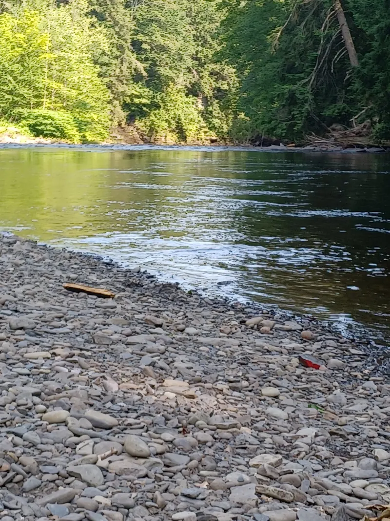 Stony creek margin and wooded opposite bank in the Point Rock photo collection