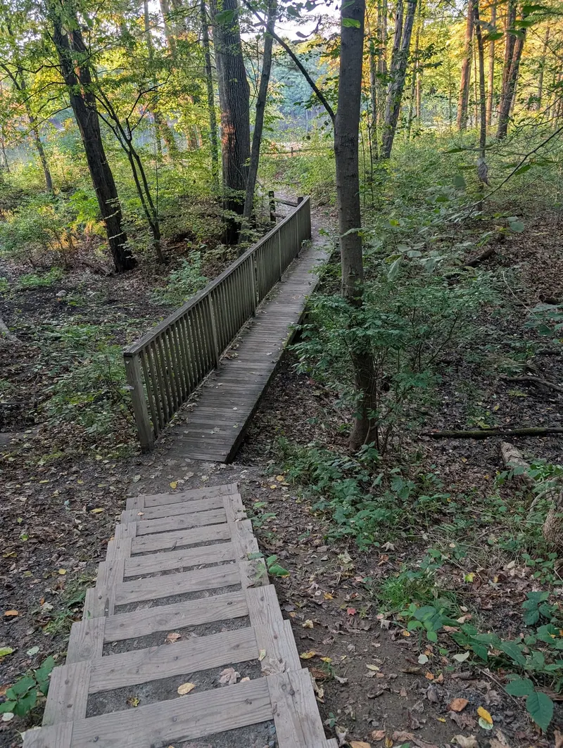 Steps leading toward a narrow wooden footbridge in the Puffer's Pond conservation area