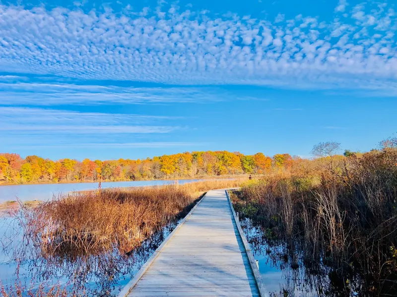 Wooden boardwalk beside Punderson Lake with reeds and autumn foliage
