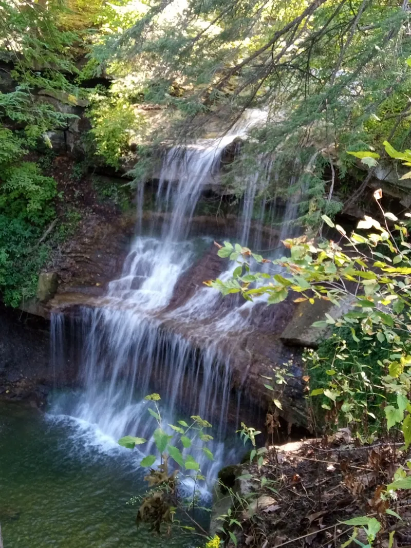 Quaker Falls viewed through leafy branches above its rocky pool