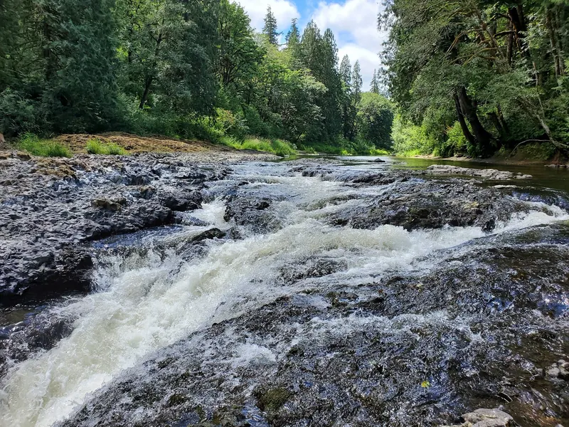 Low cascade across exposed rock shelves on the Chehalis River at Rainbow Falls State Park