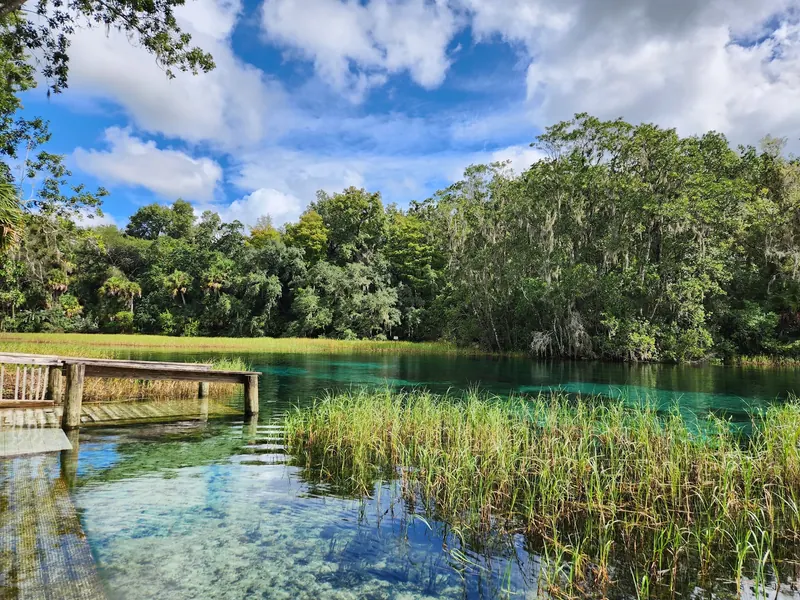 Historical shoreline platform, aquatic grasses and wooded waterway at Rainbow Springs State Park; not a verified swimming-entry location