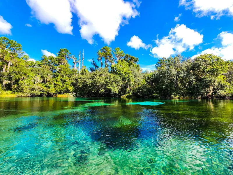 Blue-green spring water bordered by trees beneath a blue sky at Rainbow Springs State Park
