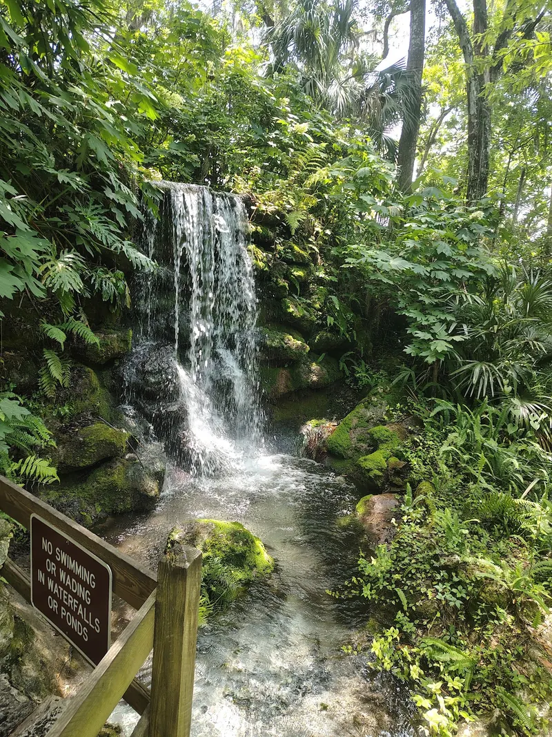 Garden waterfall behind a fence and a sign prohibiting swimming or wading at Rainbow Springs State Park; separate from the spring swimming area
