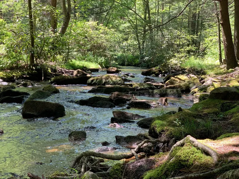 Rocky woodland stream with moss-covered boulders in the R.B. Winter park-area photo collection