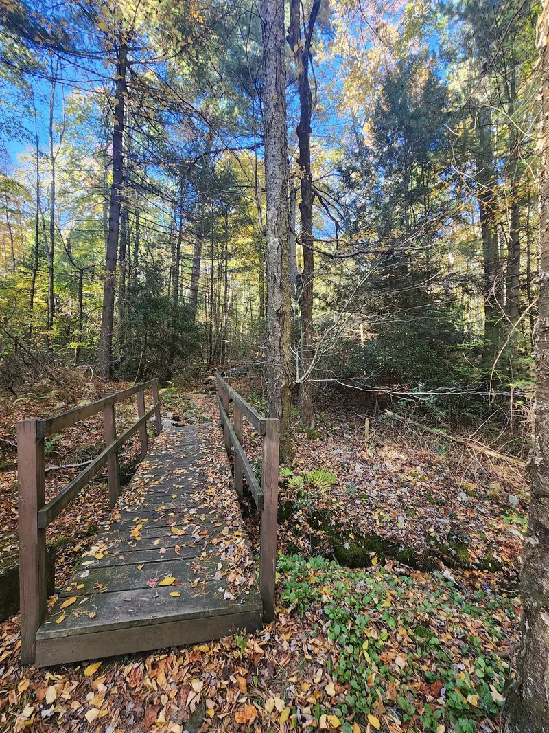 Leaf-covered wooden footbridge through autumn woodland in the R.B. Winter park-area photo collection